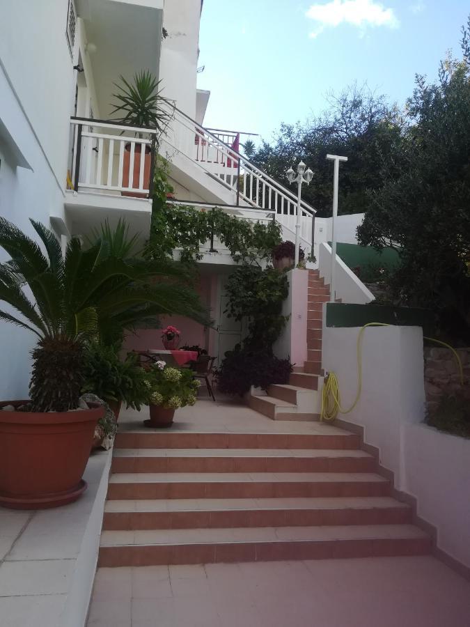 Apartment Zvonimir