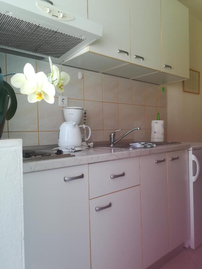 Apartment Zvonimir