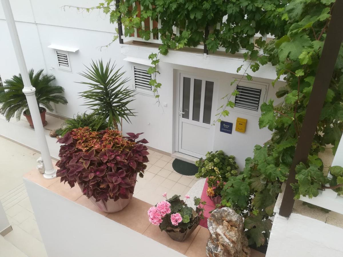 Apartment Zvonimir