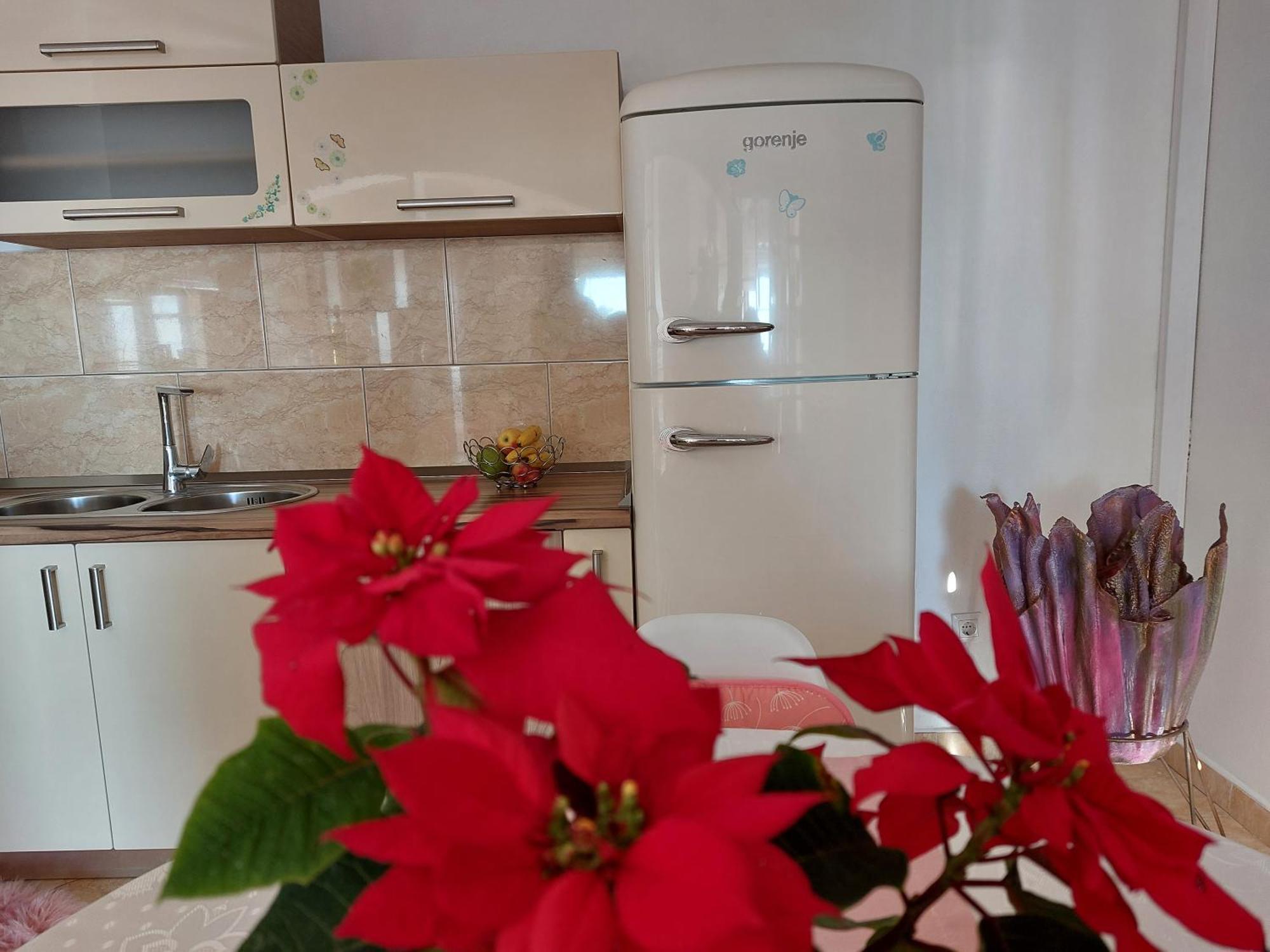 Apartment Zvonimir *